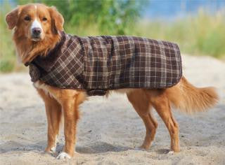 Ethical Country Plaid Dog Coat Fashion