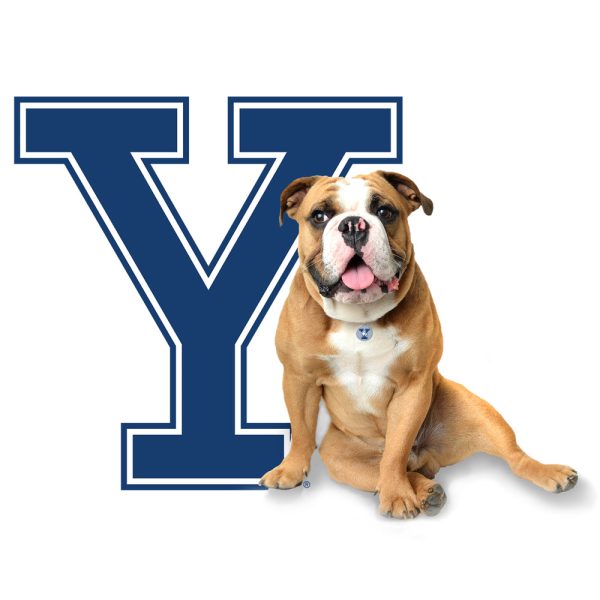 Yale Bulldogs - Yale Handsome Dan Single Layer Dimensional Wall Art Sale