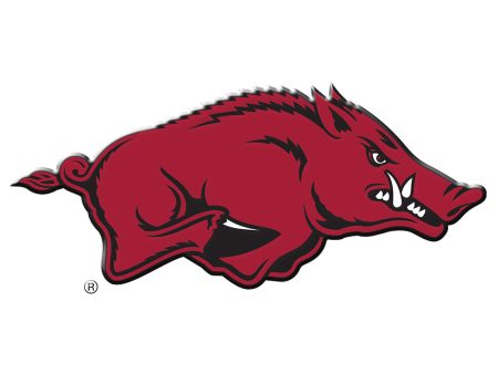 Arkansas Razorbacks -  Arkansas Mark-Single Layer Dimensional on Sale