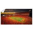 Clemson Tigers - Clemson Orange Panoramic Supply