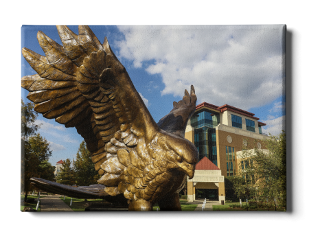 Louisiana Monroe Warhawks - Warhawk Statue Fashion