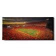 Clemson Tigers - Clemson Orange Panoramic Supply