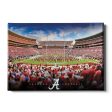 Alabama Crimson Tide - Alabama Football Sale