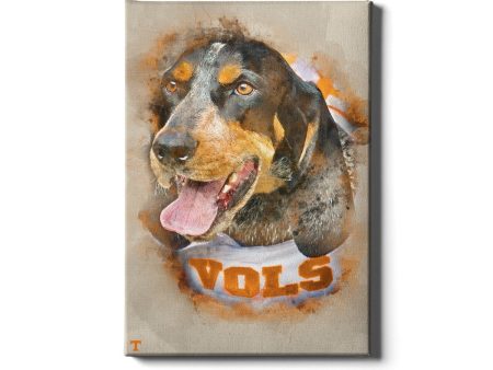 Tennessee Volunteers - Smokey Watercolor Hot on Sale