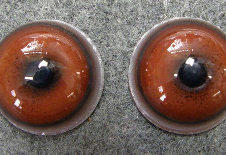 24mm Domestic Dog Eyes in Brown - Concave Convex Hot on Sale