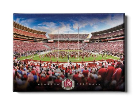 Alabama Crimson Tide - Alabama Football 125 Years Discount