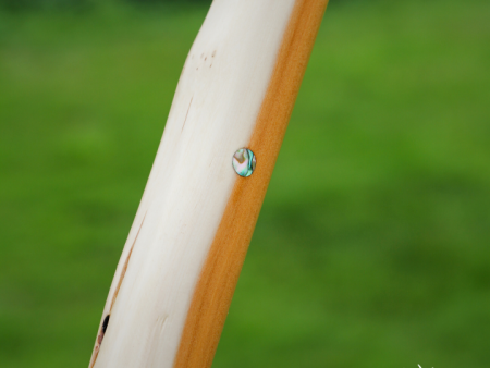 SELF YEW ENGLISH LONGBOW,   84 LBS @ 30 INCH, 77 INCH NTN Hot on Sale