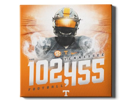 Tennessee Volunteers - 102,455 Hot on Sale