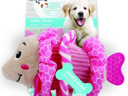 All For Paws Little Buddy Crinkly Lelesea Dog Toy Cheap