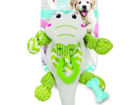 All For Paws Little Buddy Comforting Gator Dog Toy Online Sale