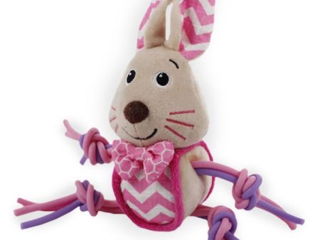 All For Paws Little Buddy Flexi Bunny Dog Toy Online