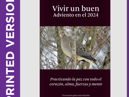 Vivir un buen Adviento en el 2024 (PRINTED) Online Hot Sale